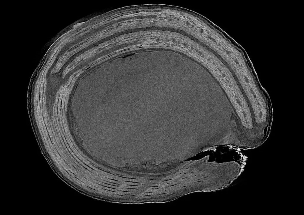 1655259928500381.jpg 圖3.jpg