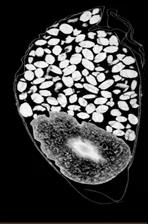 1596520899502611.jpg 1596520899502611.jpg