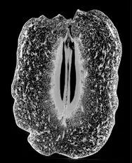 1596521090130037.jpg 1596521090130037.jpg