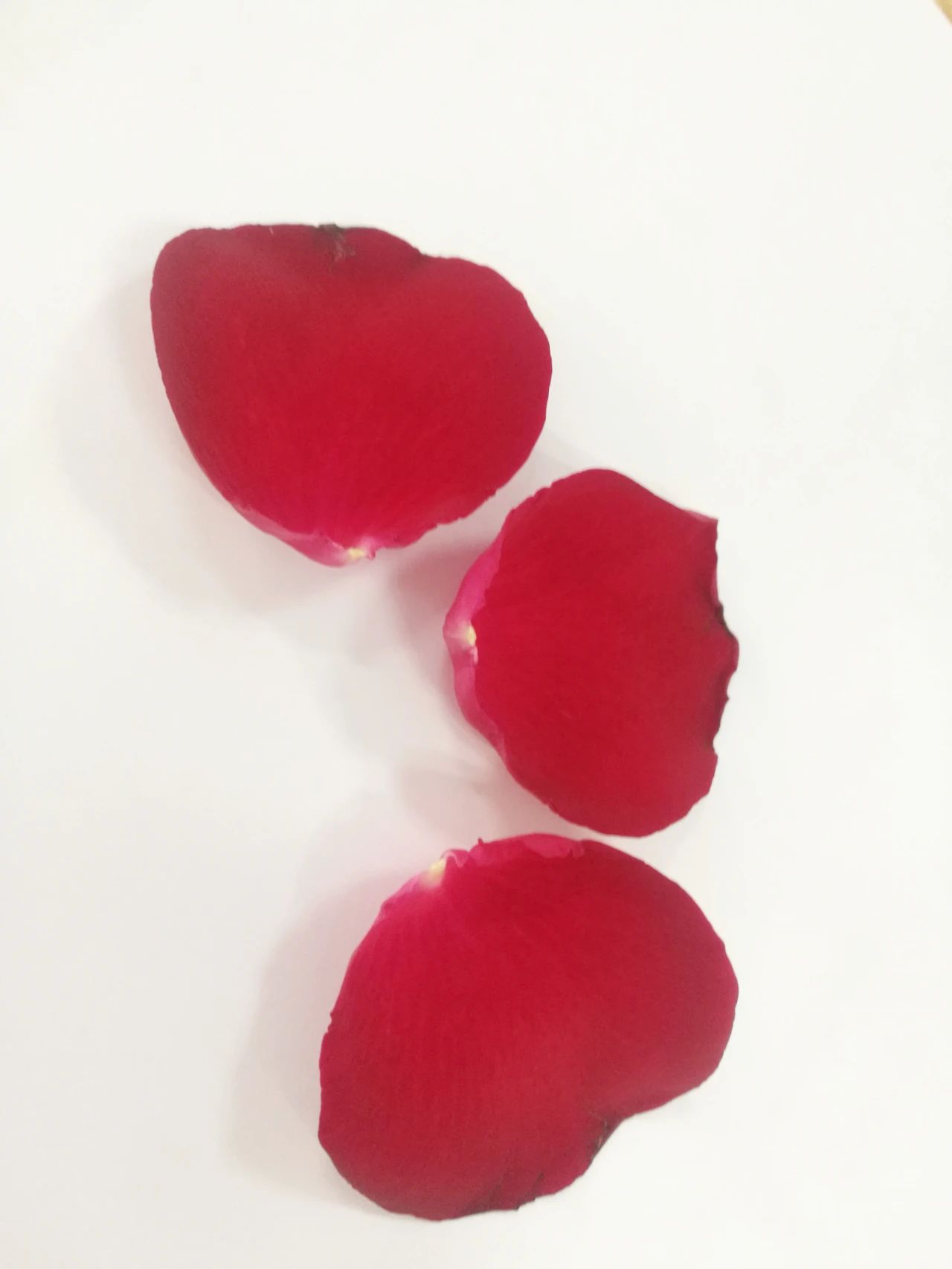 1617082563327350.jpg 1617082563327350.jpg